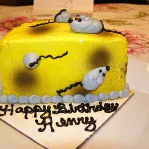 Obrázek 'Happy Birthday Cat'
