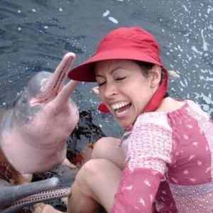 Obrázek 'Happy Dolphin'