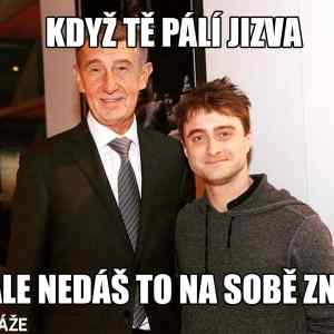 Obrázek 'Harry Potter a dotace do Agrofertu'