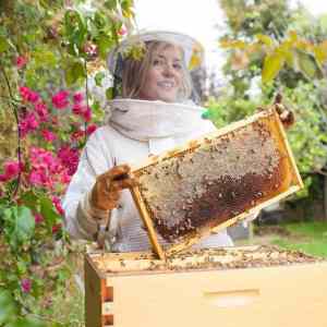 Obrázek 'Hello Honey'