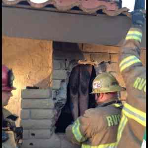 Obrázek 'Hello&nbsp;Santa756'