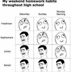 Obrázek 'Highschool Homework Habits'