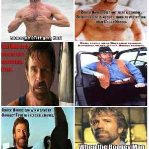 Obrázek 'Hilarious Chuck Norris Facts'