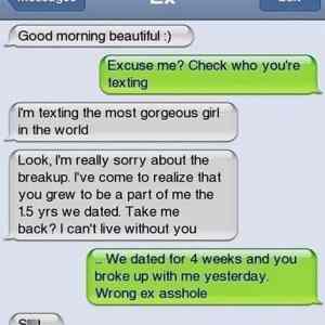 Obrázek 'Hilarious&nbsp;Text&nbsp;to&nbsp;Ex'