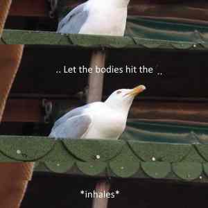 Obrázek 'HitTheFloor'