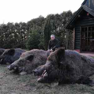 Obrázek 'Hog Hunter'
