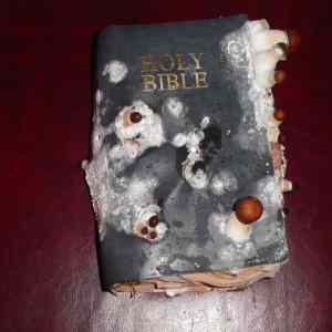 Obrázek 'Holy Bible2'