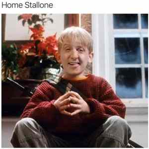 Obrázek 'Home Stallone'