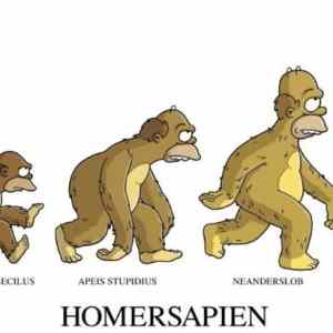 Obrázek 'Homersapiens'