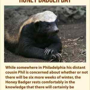 Obrázek 'Honey Badger Day7904'