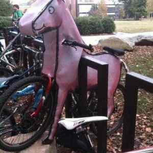 Obrázek 'Horsebike'