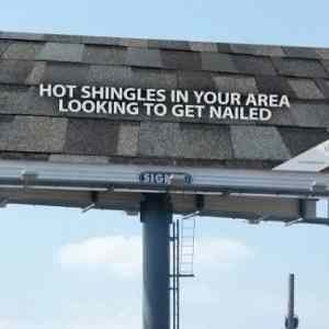 Obrázek 'Hot&nbsp;Shingles'