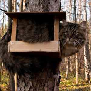 Obrázek 'House&nbsp;-&nbsp;05-06-2012'