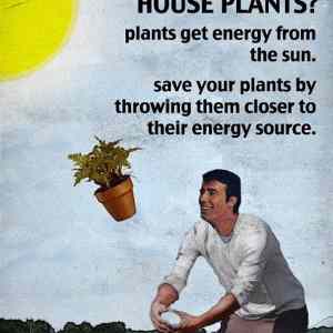 Obrázek 'House Plants Need Energy'