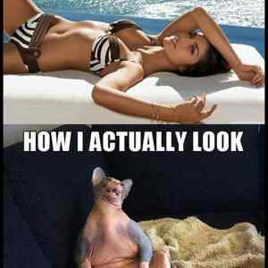 Obrázek 'How&nbsp;I&nbsp;Think&nbsp;I&nbsp;Look&nbsp;&nbsp;&nbsp;'