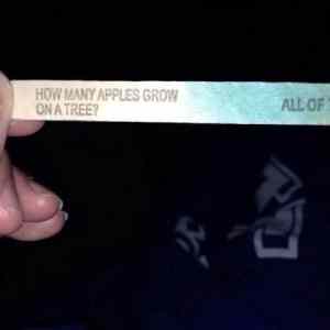 Obrázek 'How&nbsp;Many&nbsp;Apples'