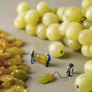 Obrázek 'How grapes are made'
