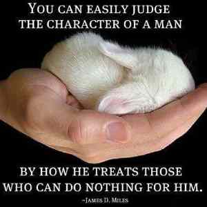 Obrázek 'How to Judge Character of a Man - 13-04-2012'