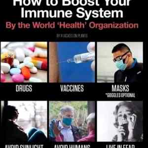 Obrázek 'How to boost your immune system'