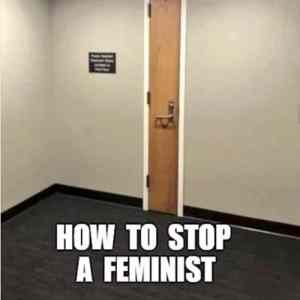 Obrázek 'How to stop a feminist'
