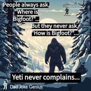 Obrázek 'HowsBigFoot'