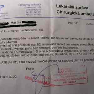 Obrázek 'Hrani s medvedem'