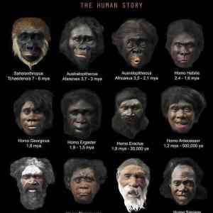 Obrázek 'HumanStory. . . '
