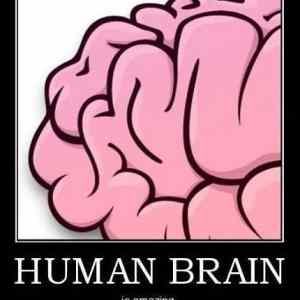 Obrázek 'Human brain'