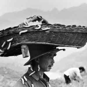Obrázek 'Humanizing China3'