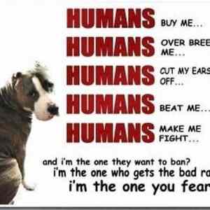 Obrázek 'Humans buy me'
