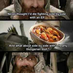 Obrázek 'I-love-me-some-goulash'