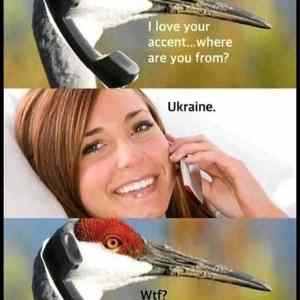 Obrázek 'ILoveYourAccent'