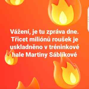 Obrázek 'IMG-20200317-WA0022'