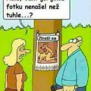 Obrázek 'IMG-20210130-WA0001'