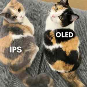 Obrázek 'IPS&nbsp;vs&nbsp;OLED'