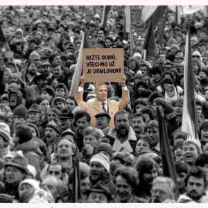 Obrázek 'IQ Turek'