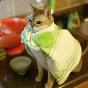 Obrázek 'I&nbsp;Am&nbsp;Super6898'