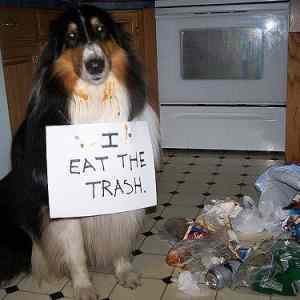 Obrázek 'I Eat the '