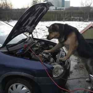 Obrázek 'I am consulting my German mechanic'
