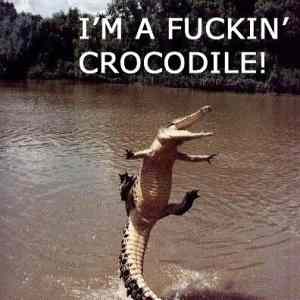 Obrázek 'I am fuckin crocodile'