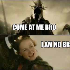 Obrázek 'I am no bro'