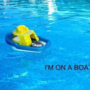 Obrázek 'I am on a boat 07-01-2012'