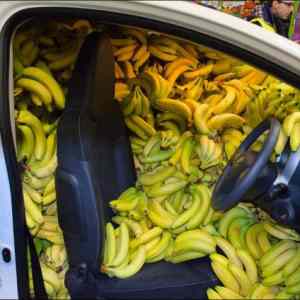 Obrázek 'I bought some bananas'
