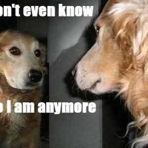 Obrázek 'I&nbsp;dont&nbsp;even&nbsp;know&nbsp;21-01-2012'