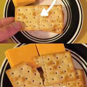 Obrázek 'I dont trust crackers '