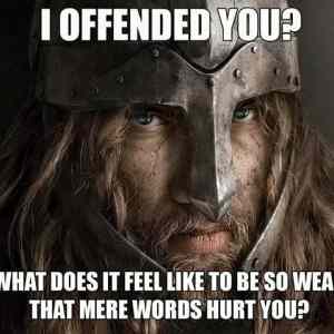 Obrázek 'I&nbsp;find&nbsp;this&nbsp;offensive.&nbsp;.&nbsp;.&nbsp;'