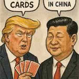 Obrázek 'I have the cards'