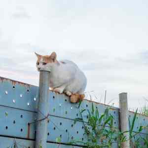 Obrázek 'I&nbsp;made&nbsp;a&nbsp;terrible&nbsp;mistake'