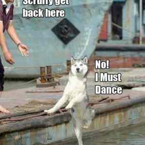 Obrázek 'I must dance'