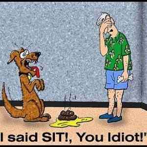 Obrázek 'I said sit'